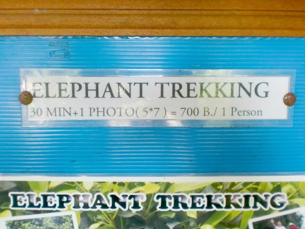Elephant Trekking