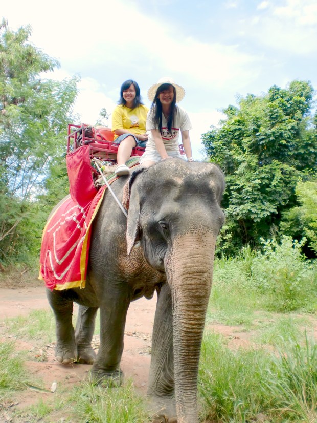 Elephant Trekking Pattaya