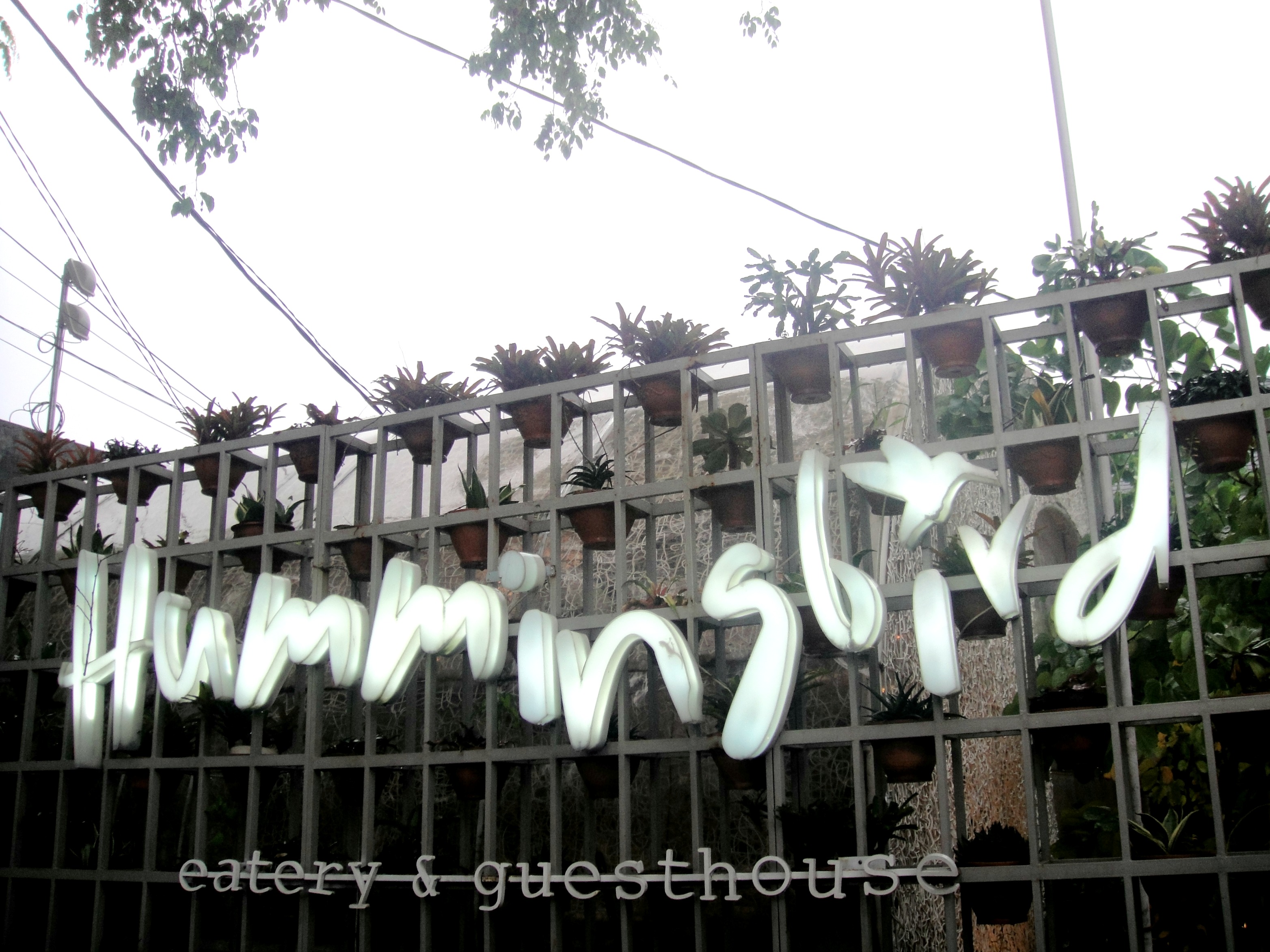 Hummingbird Eatery