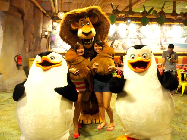 Madagascar Universal Studio