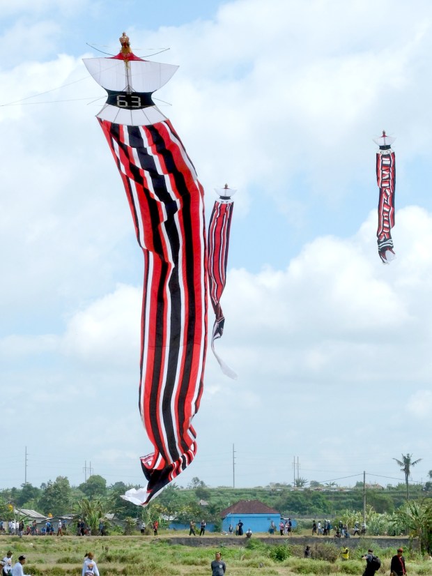 Bali Traditional Kite 