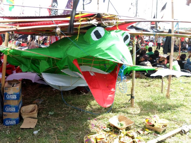 Frog Kite at Bali Kite Festival