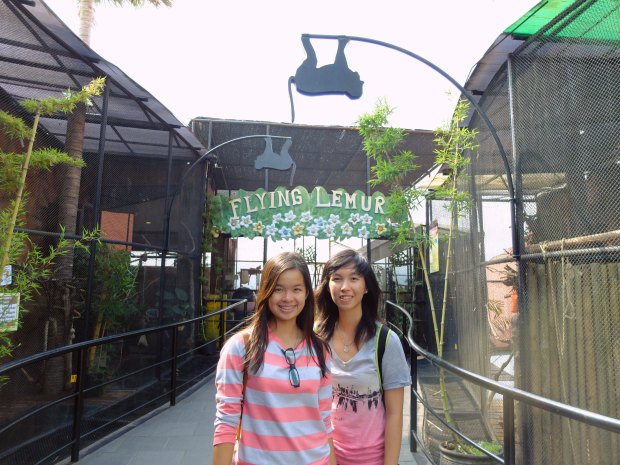 Batu Secret Zoo Animal