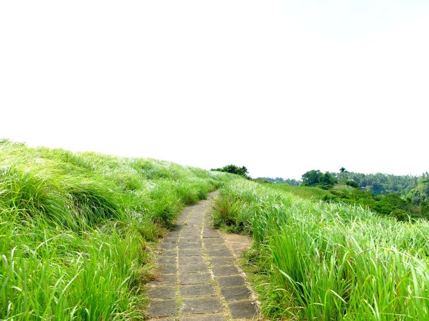 Campuhan Ridge Ubud
