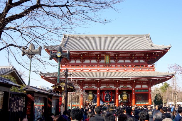 Asakusa Temple