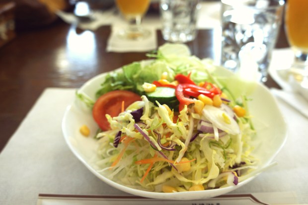 Fresh Salad Japan