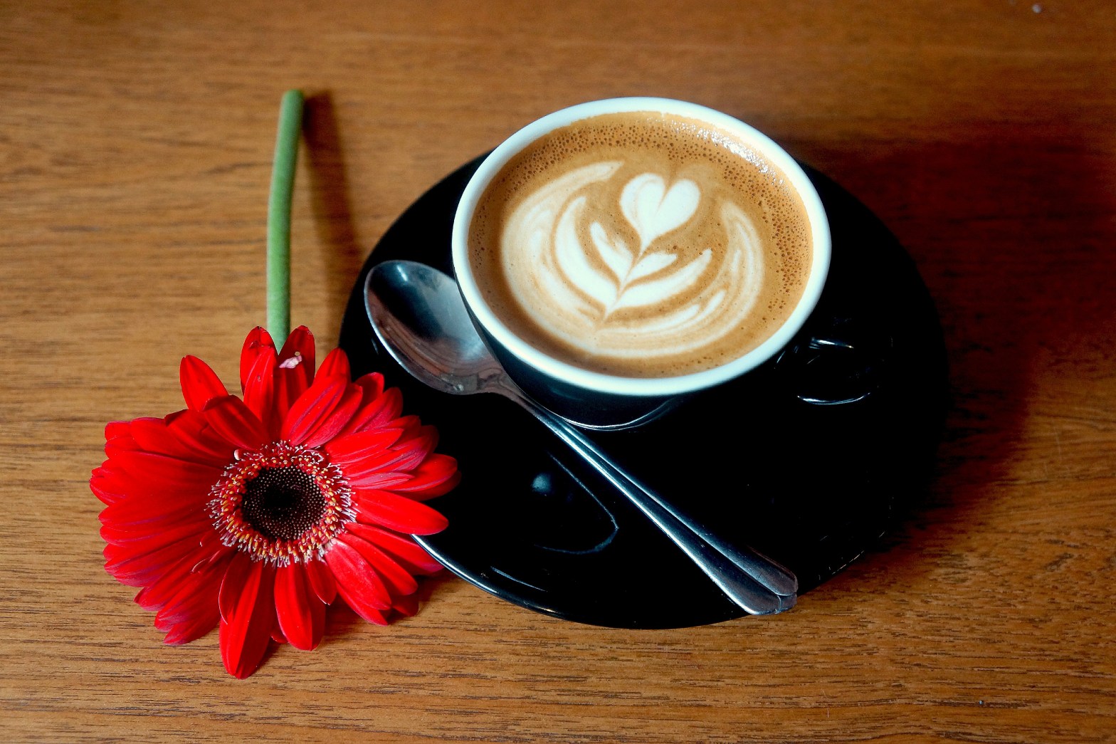 Two Hands Full Coffee