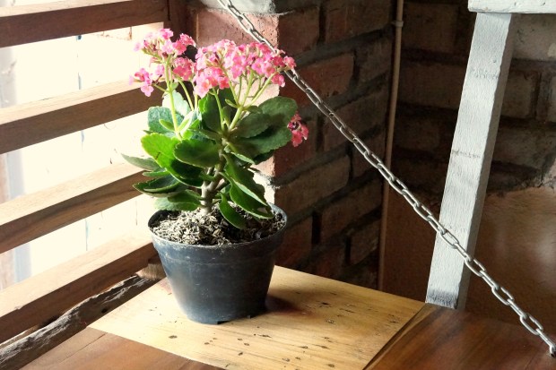 Booster Society Bandung