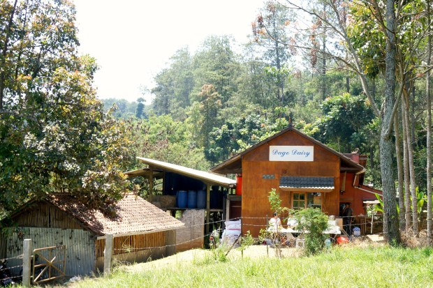 Dago Dairy Bandung