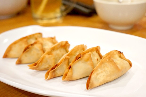 Gyoza Hakata Ikkousha