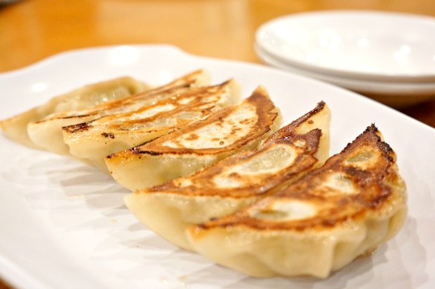Gyoza Hakata Ikkousha