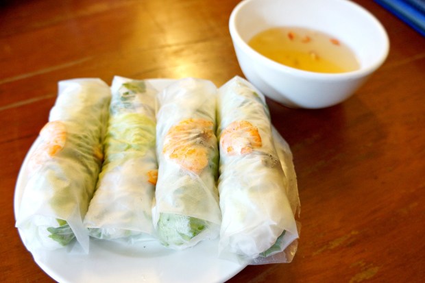 Gỏi cuốn vietnamese spring roll