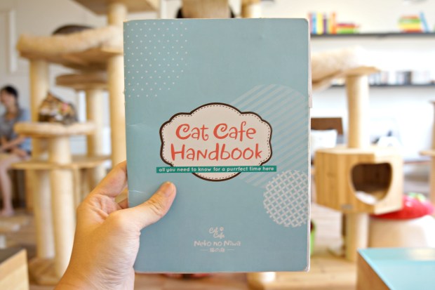 Niko No Niwa Singapore