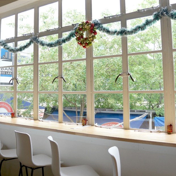 Neko No Niwa Cat Cafe Singapore