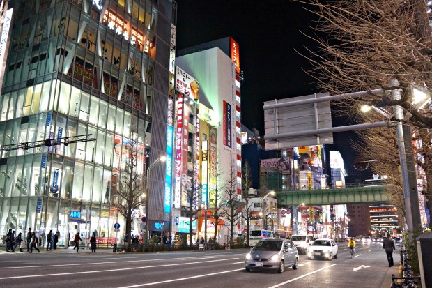Akihabara Night