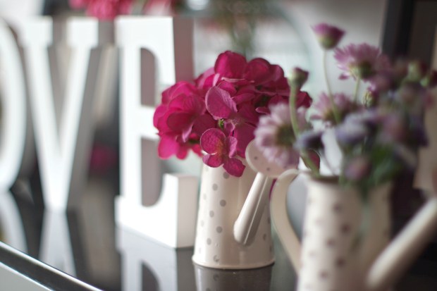 Sukha Delights Bandung