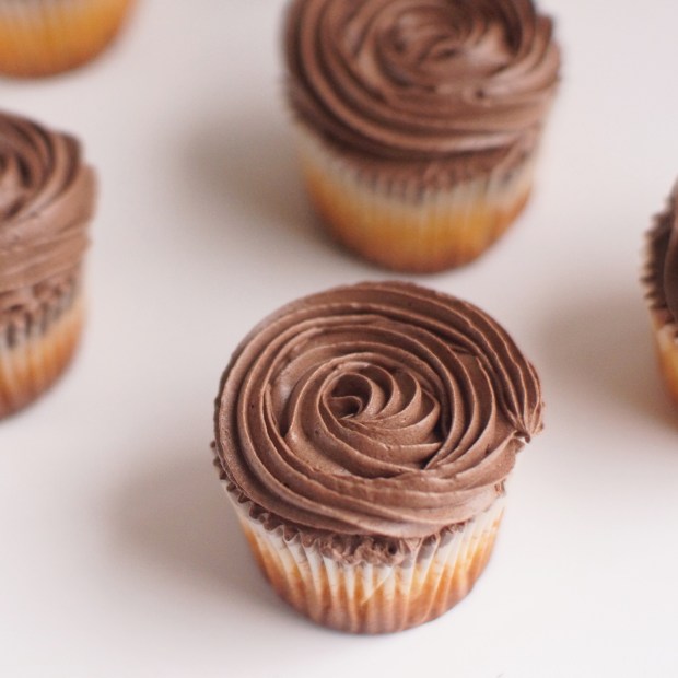 Chocolate Cupcakes