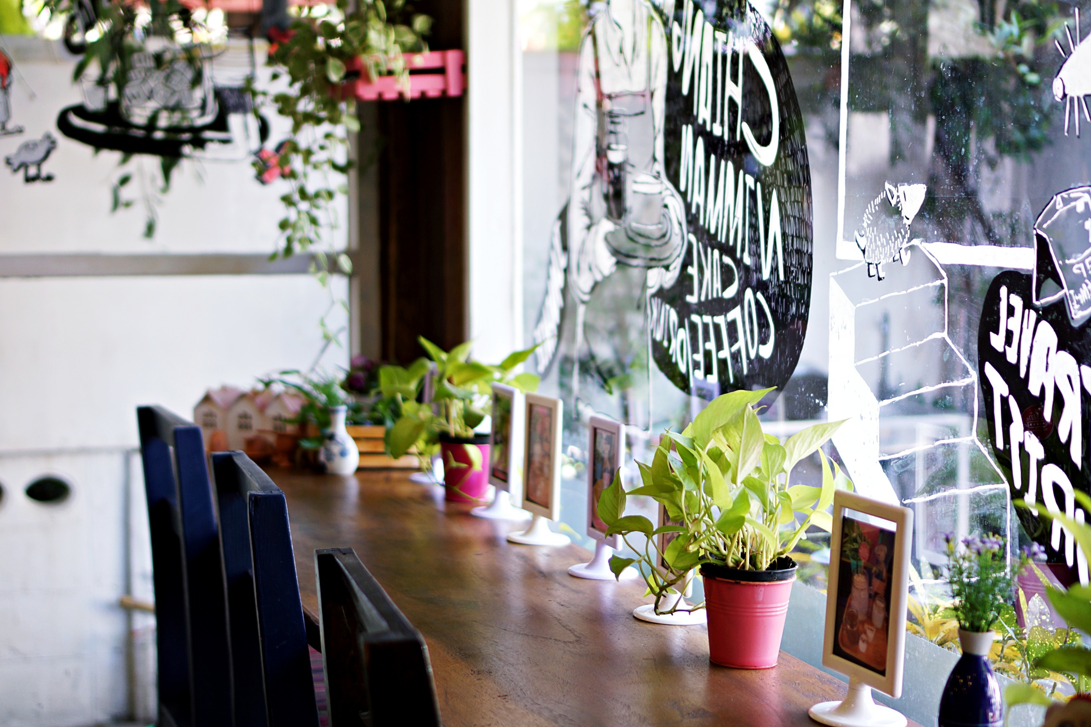 Cafe in Chiang Mai Thailand