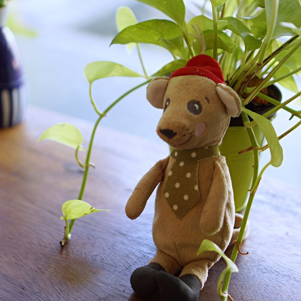 Roll Me Bakery Chiang Mai