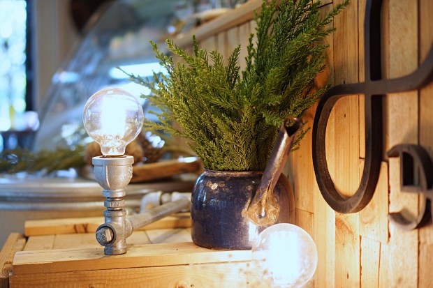 8 Days A Week, Chiang Mai