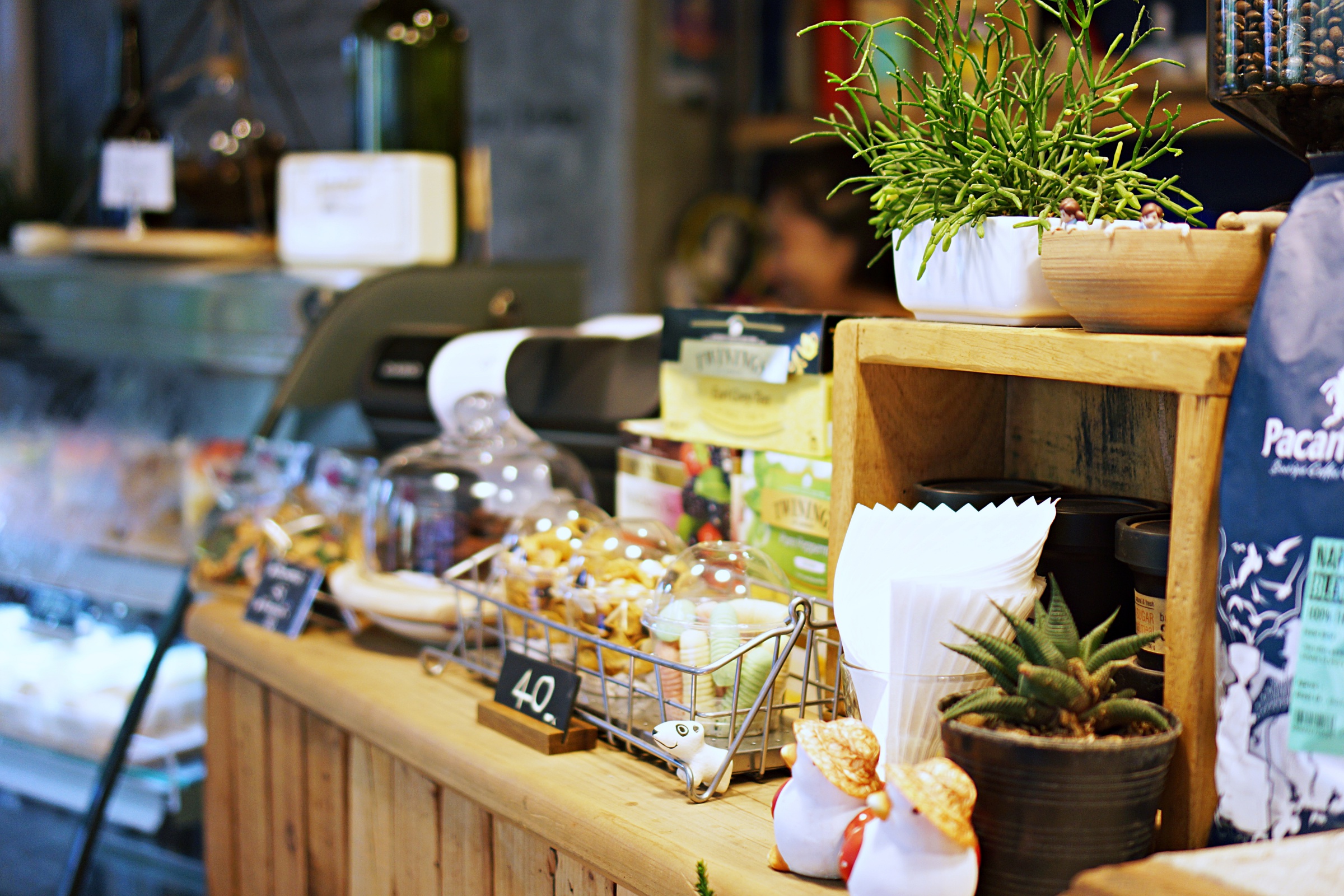 8 Days A Week, Chiang Mai