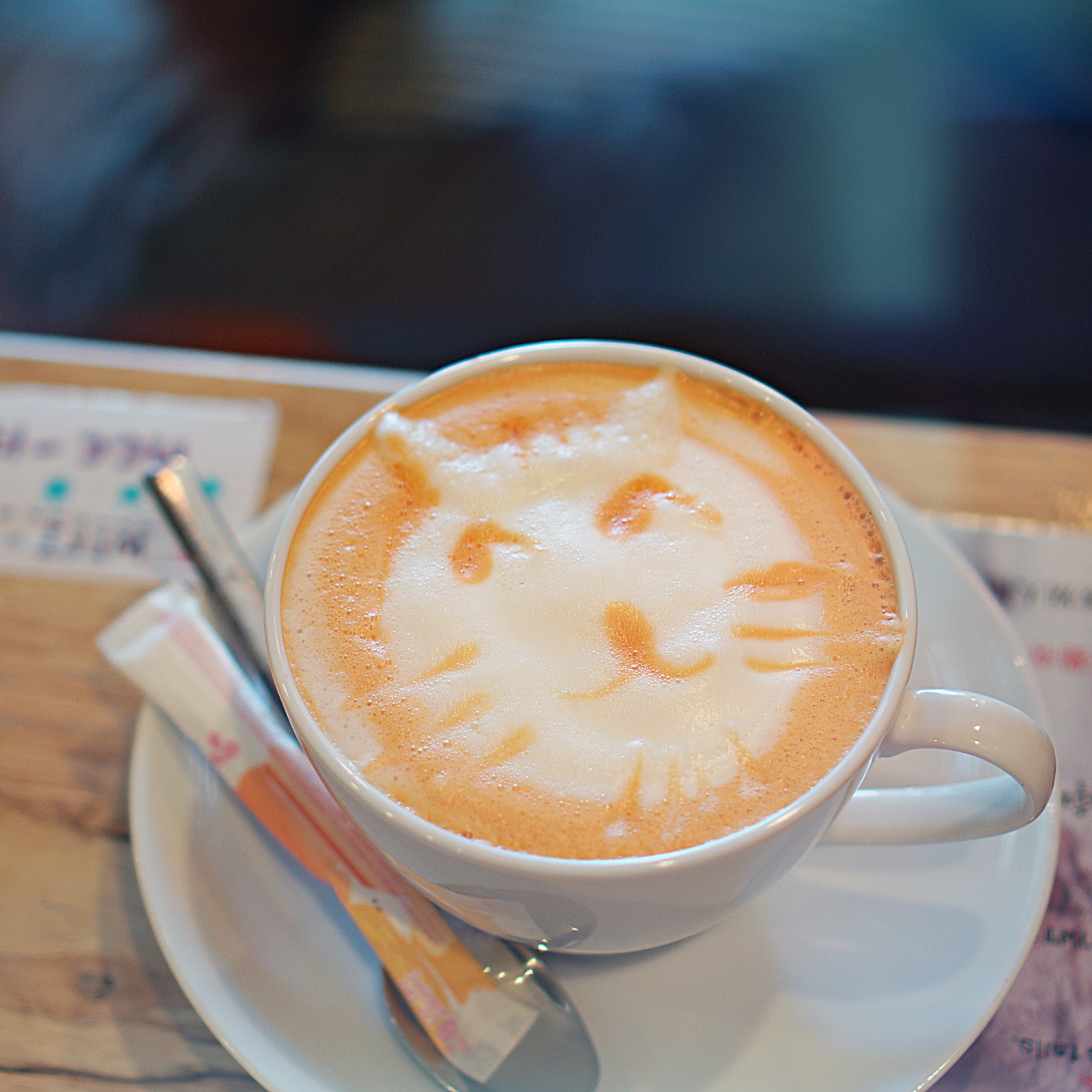 Catmosphere Chiang Mai