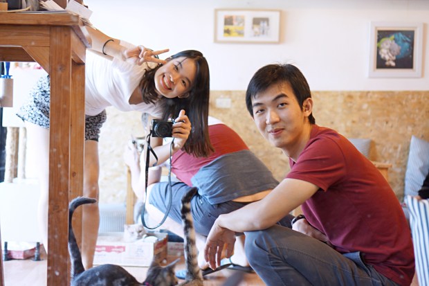 Cat Cafe Chiang Mai