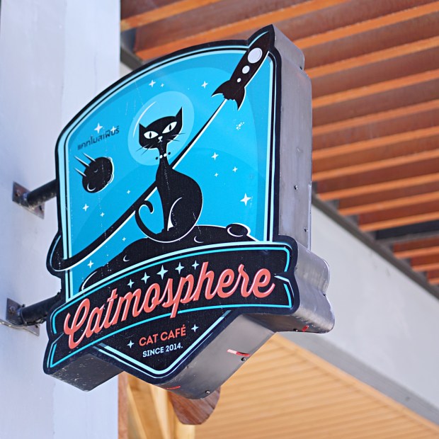 Catmosphere Chiang Mai