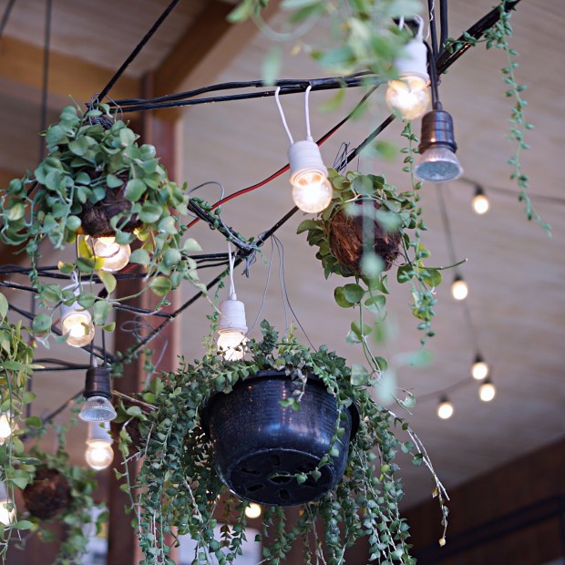 What to do Chiang Mai