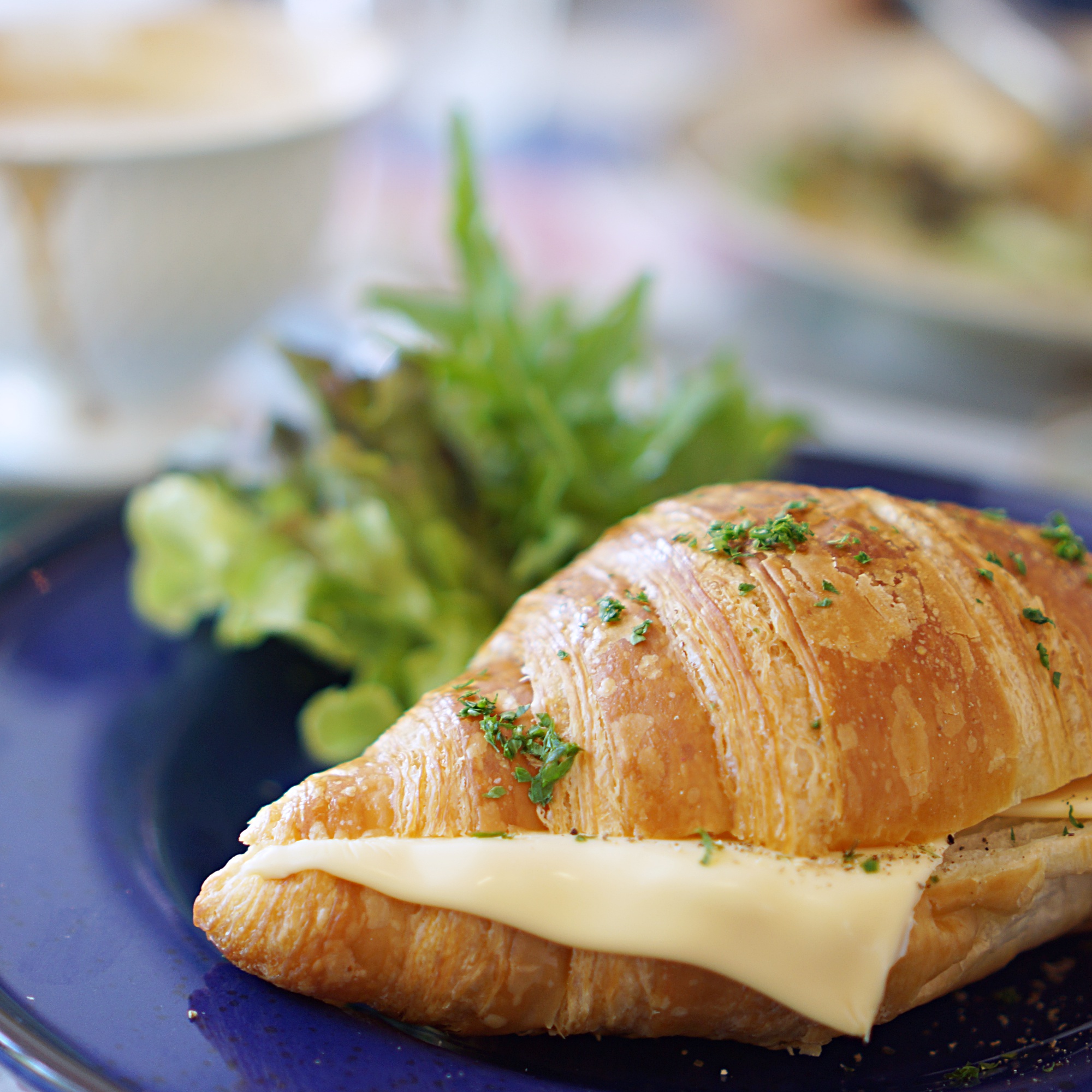 Chiang Mai Travel Blog