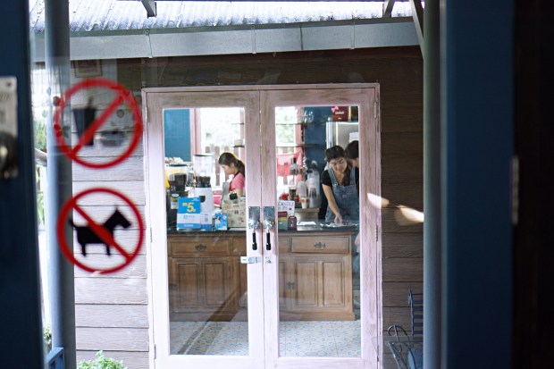 Charin Pie Chiang Mai