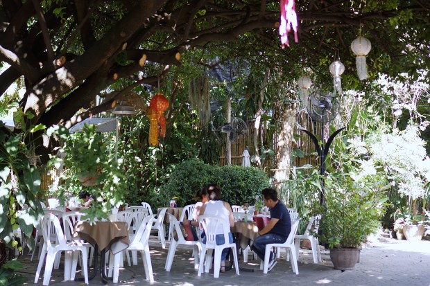 Love at First Bite Chiang Mai