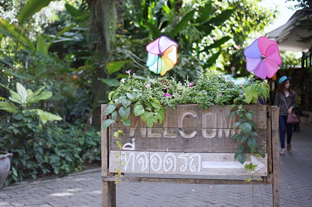 Love at First Bite Chiang Mai