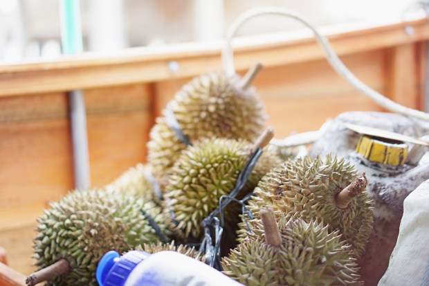 Sungai Buluh Riau Indonesia