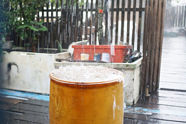 SUNGAI BULUH RIAU INDONESIA