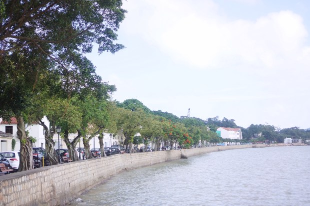 Coffee in Coloane Macau