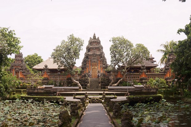 Travel to Ubud Bali