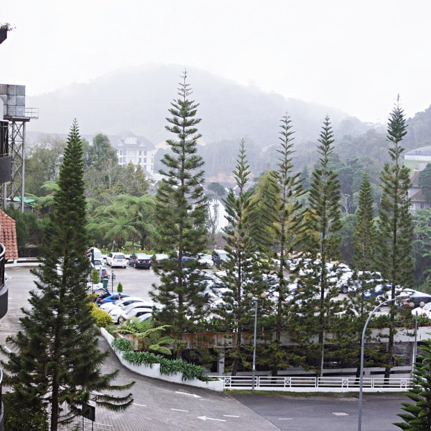 Cameron Highland Malaysia